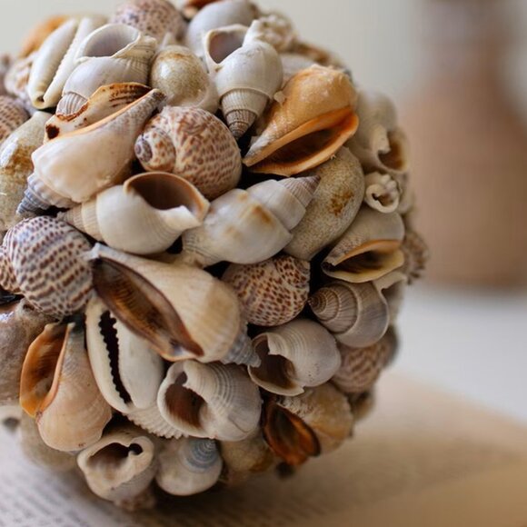 Shell Ball - Picture 1 of 4